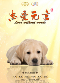 色虎看片